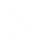 Casmin Newmark logo