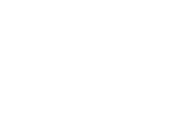 Casmin Newmark Publishing logo